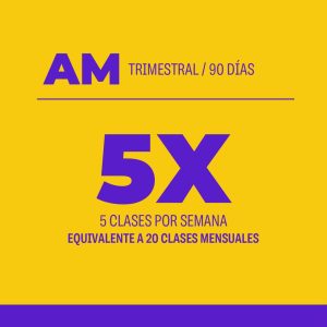 Plan Trimestral AM 90 Días 60 clases 20 veces por mes / 5 por semana